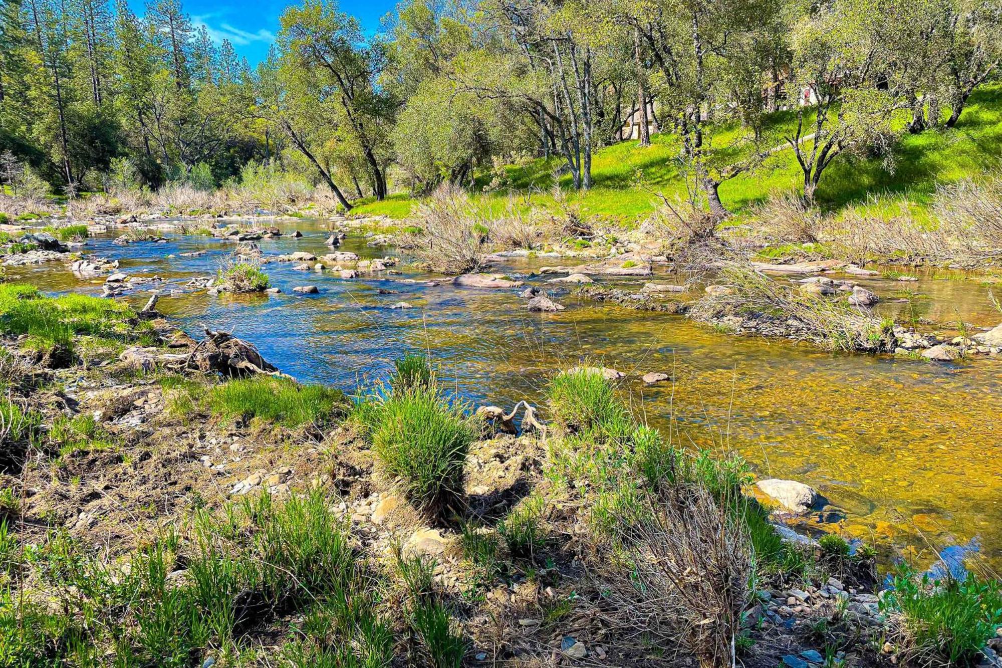Villa Big Creek Hideaway Groveland Esterno foto